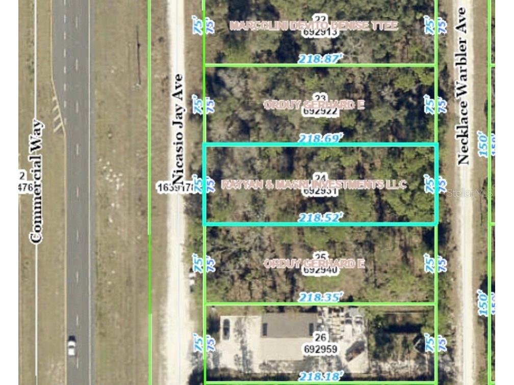 Necklace Warbler Avenue Weeki Wachee FL 34614 O6169379 image1