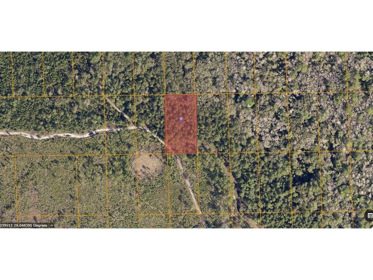 Nectarine Rd Deland FL 32724 O6230385 image1