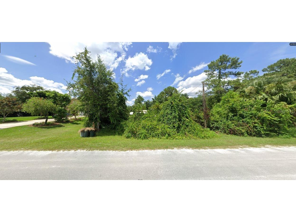 Nectarine Rd Deland FL 32724 O6230385 image2