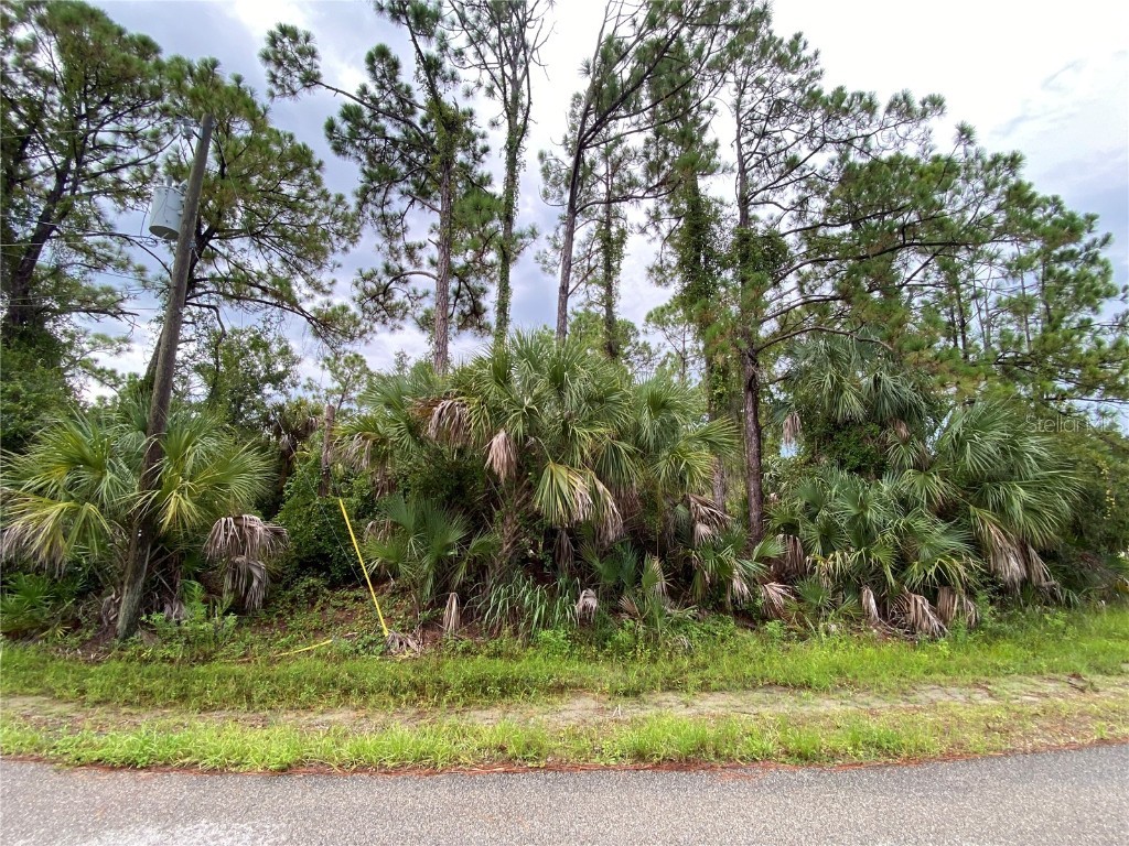 Needle Terrace North Port FL 34286 A4621287 image1
