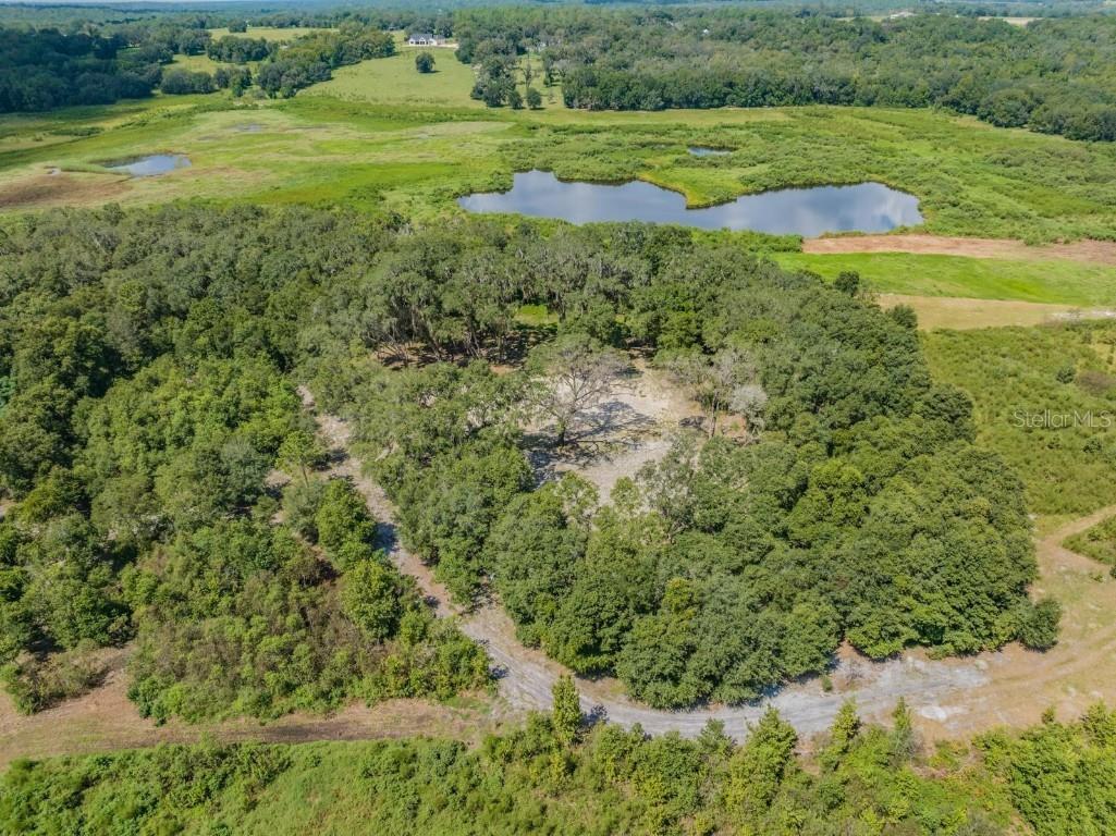 Neff Lake Road Brooksville FL 34602 T3475463 image1