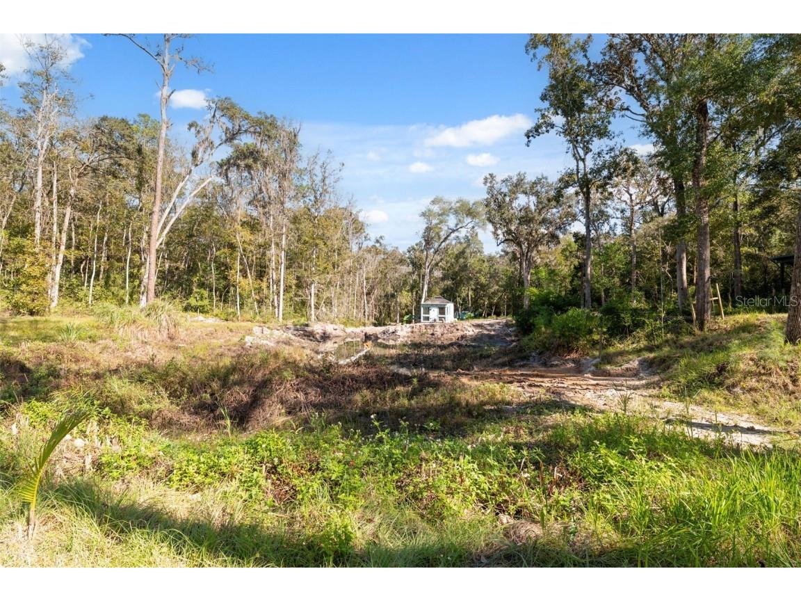 Neff Lake Road Brooksville FL 34601 W7880539 image13