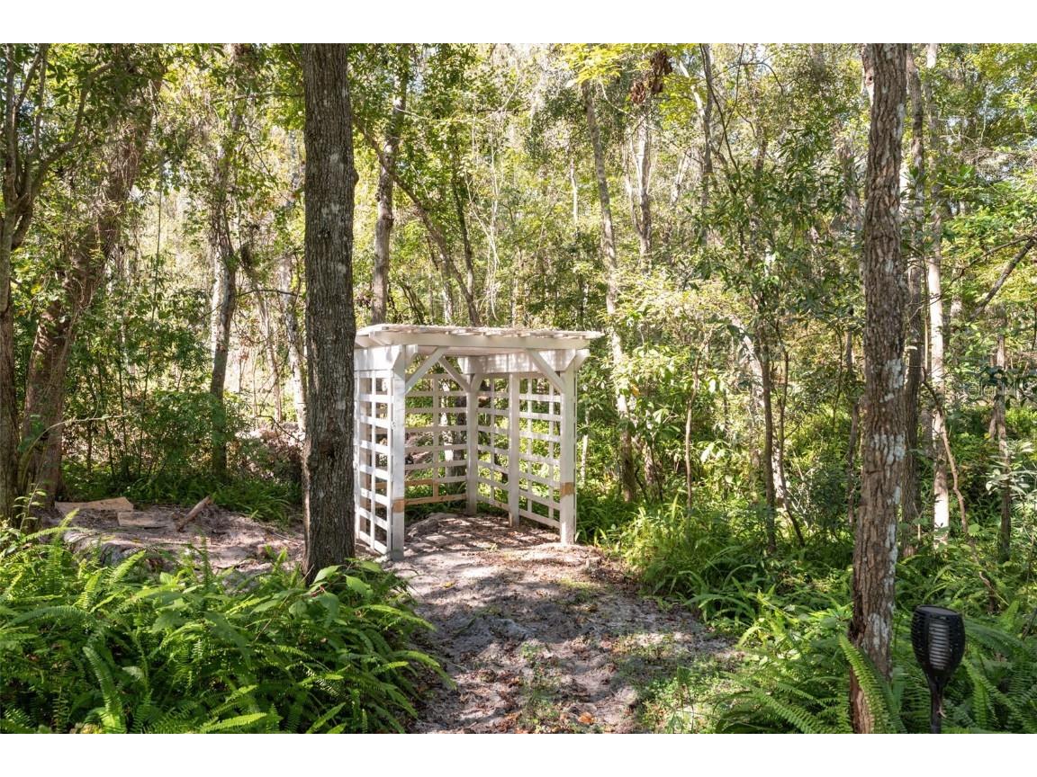 Neff Lake Road Brooksville FL 34601 W7880539 image14