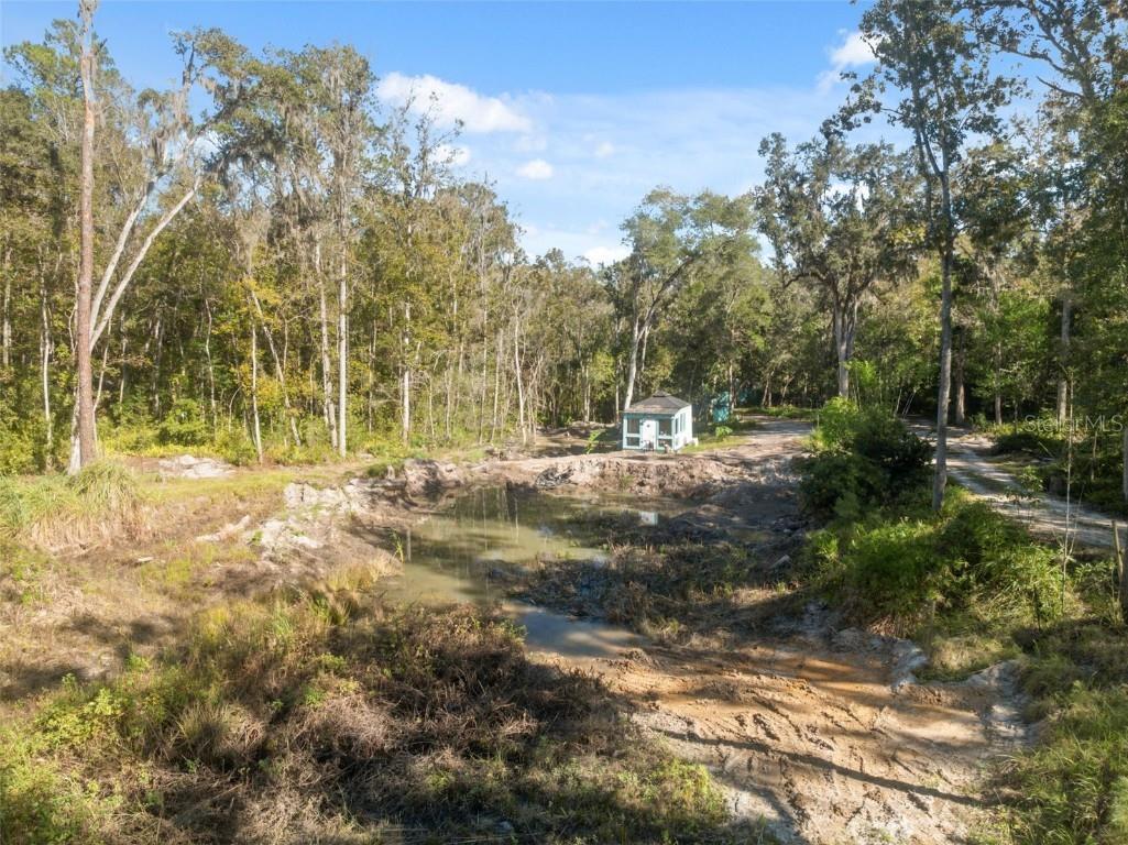 Neff Lake Road Brooksville FL 34601 W7880539 image17