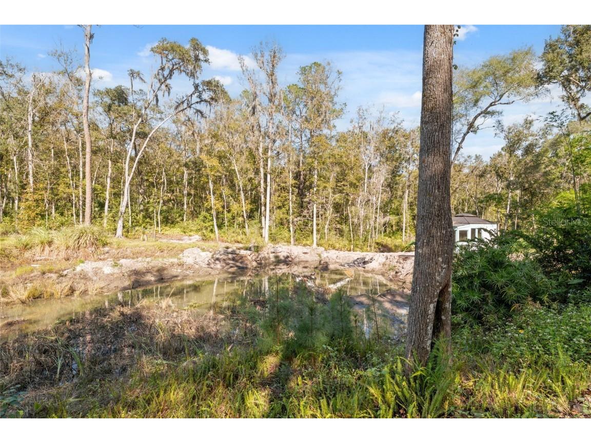 Neff Lake Road Brooksville FL 34601 W7880539 image19