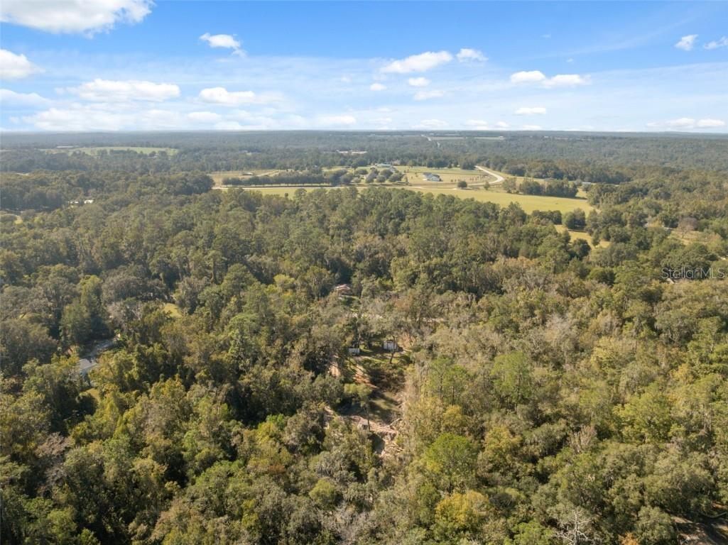 Neff Lake Road Brooksville FL 34601 W7880539 image22