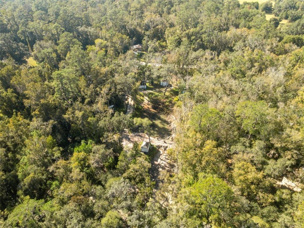 Neff Lake Road Brooksville FL 34601 W7880539 image24