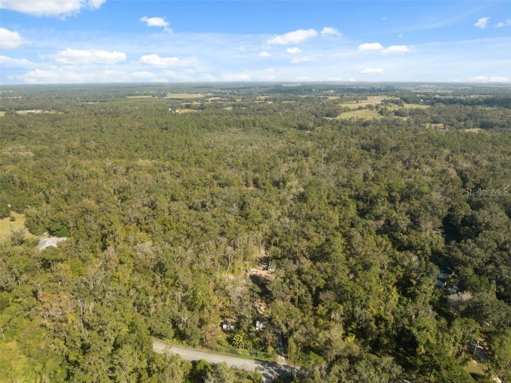 Neff Lake Road Brooksville FL 34601 W7880539 image25