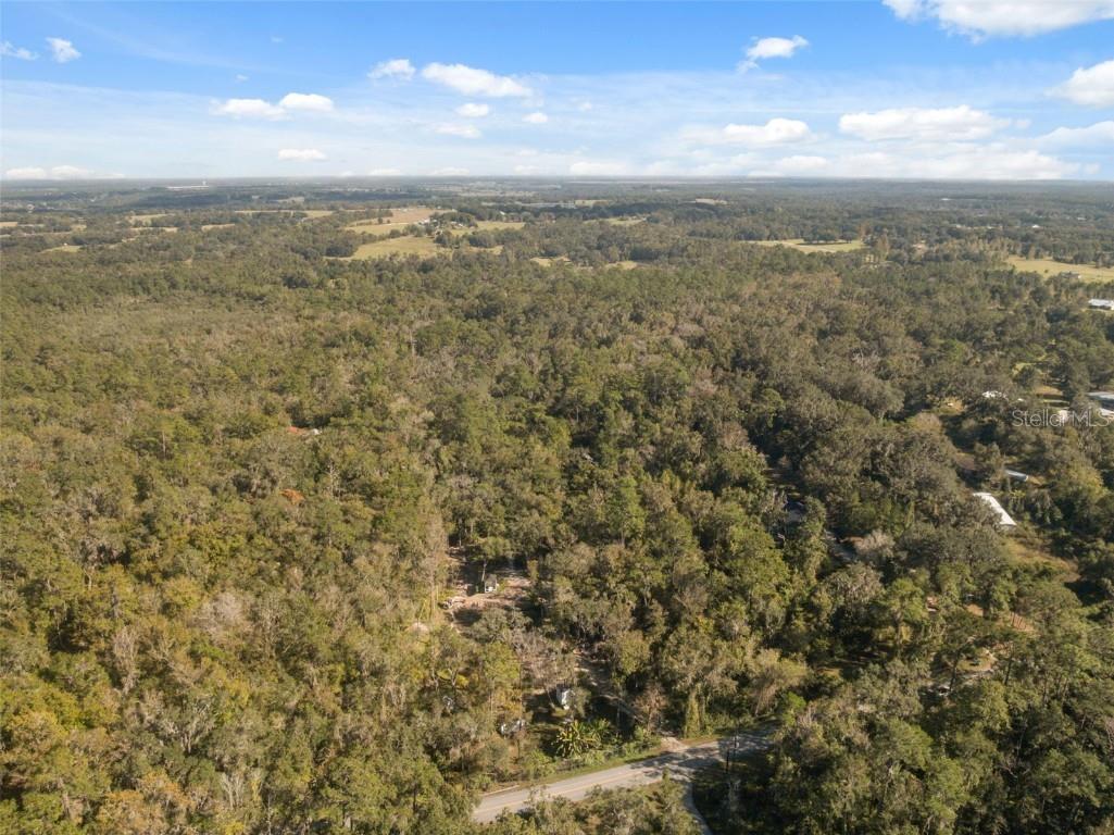 Neff Lake Road Brooksville FL 34601 W7880539 image26