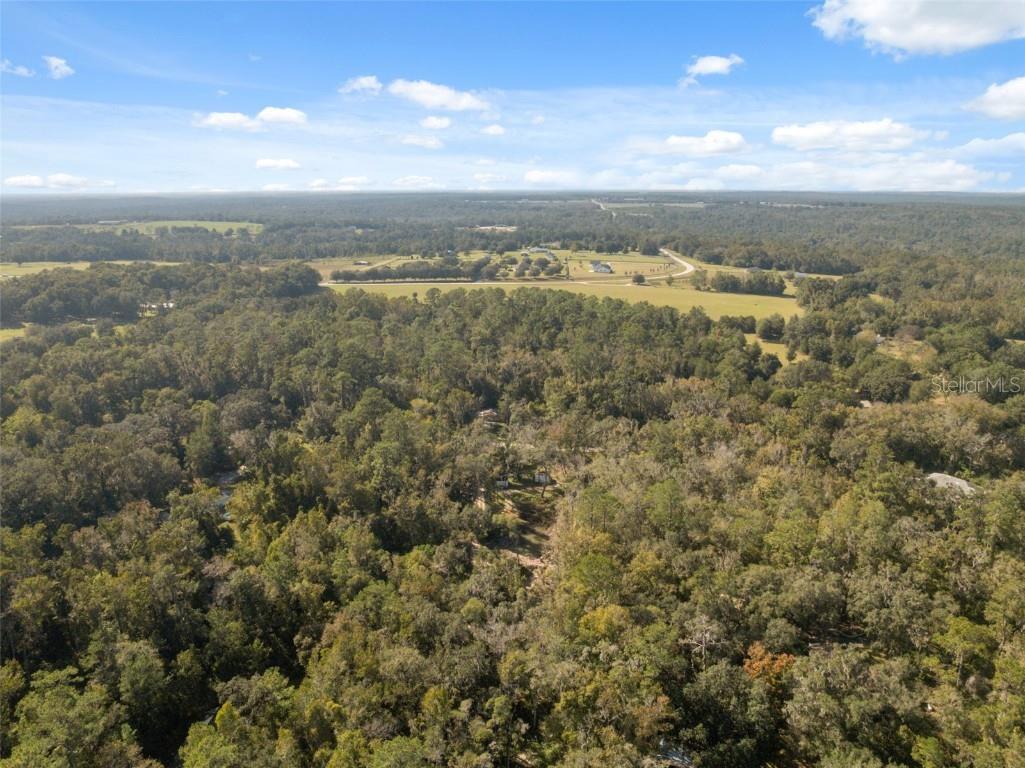 Neff Lake Road Brooksville FL 34601 W7880539 image27