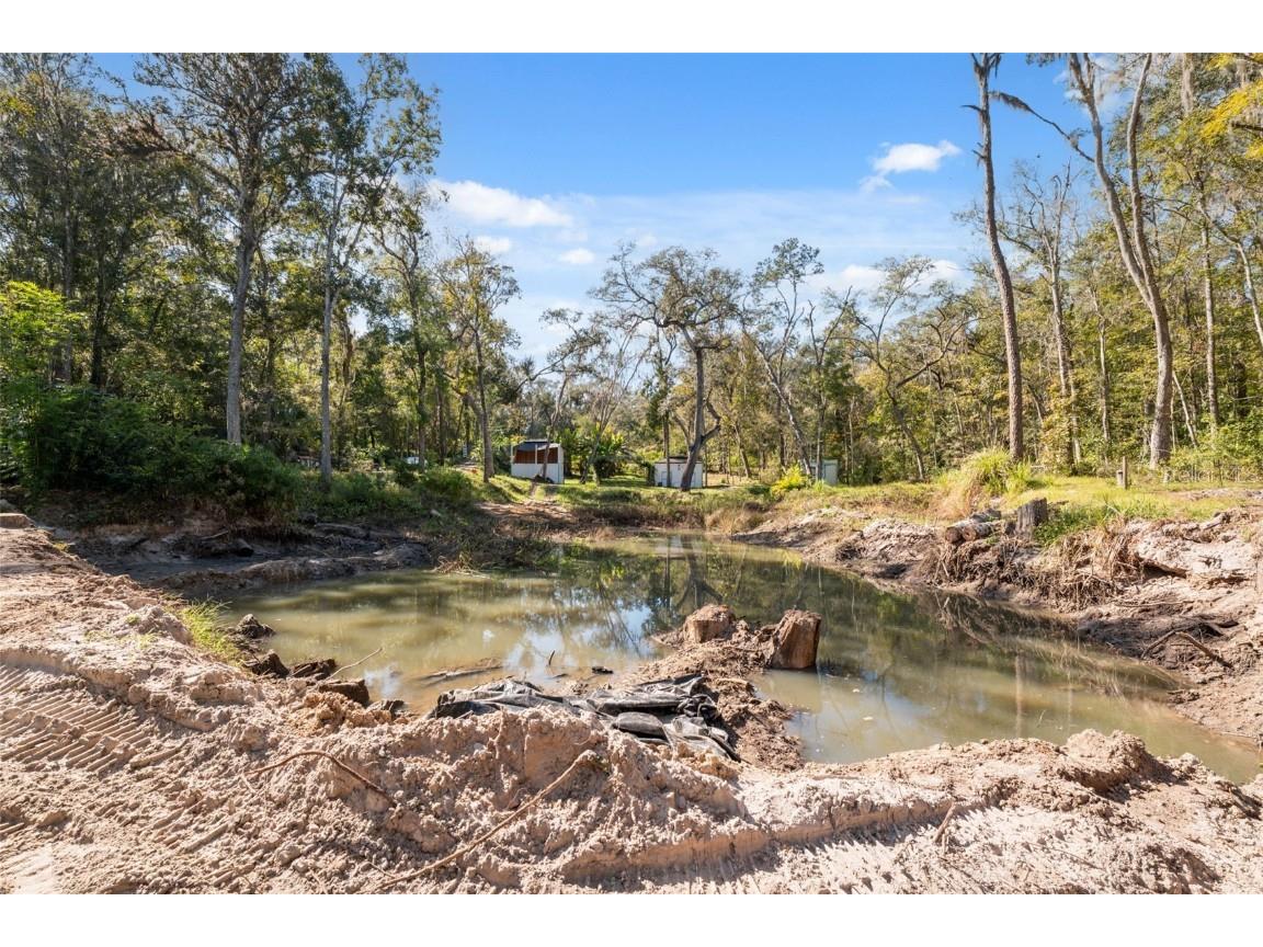 Neff Lake Road Brooksville FL 34601 W7880539 image4