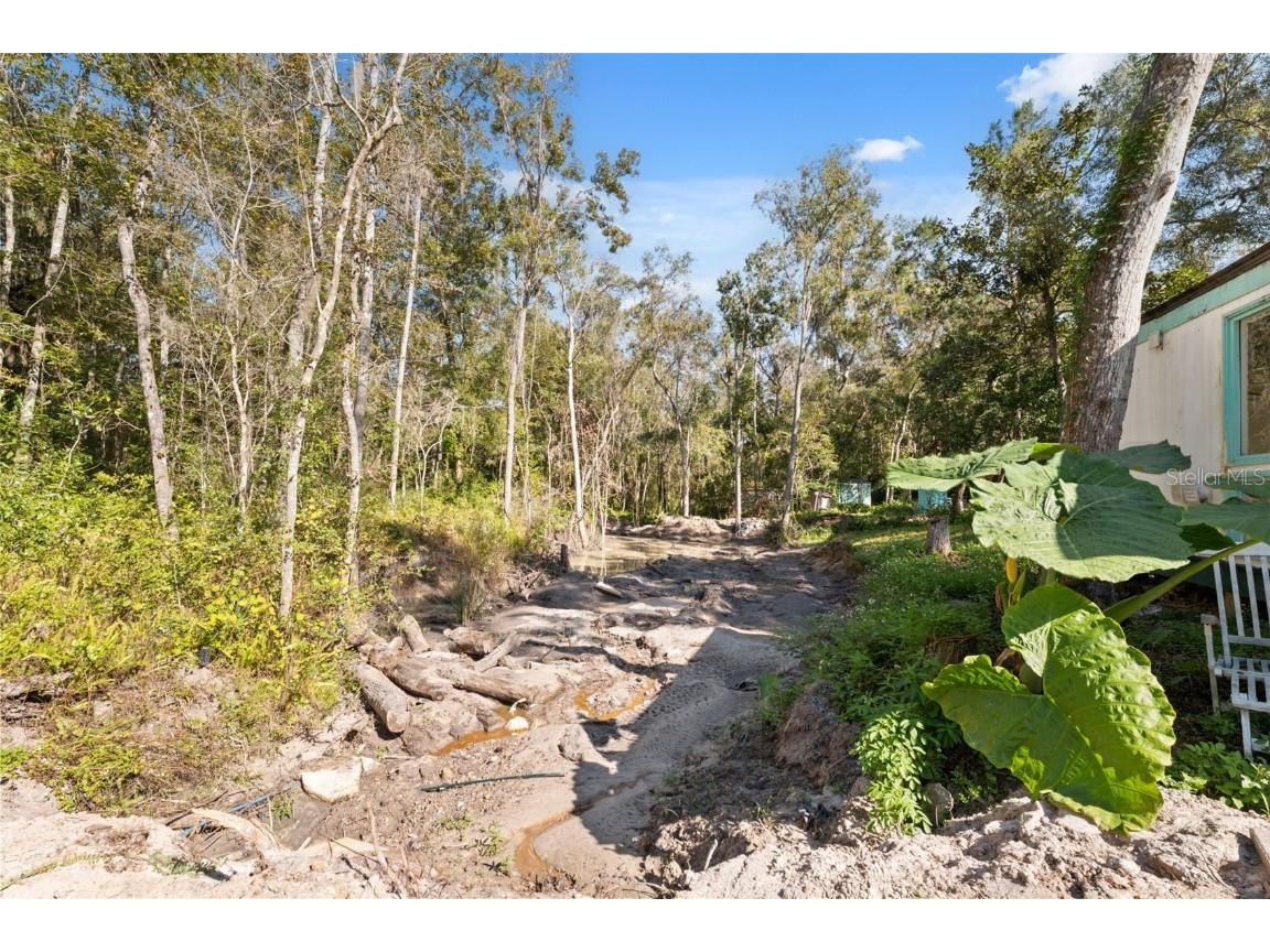 Neff Lake Road Brooksville FL 34601 W7880539 image7