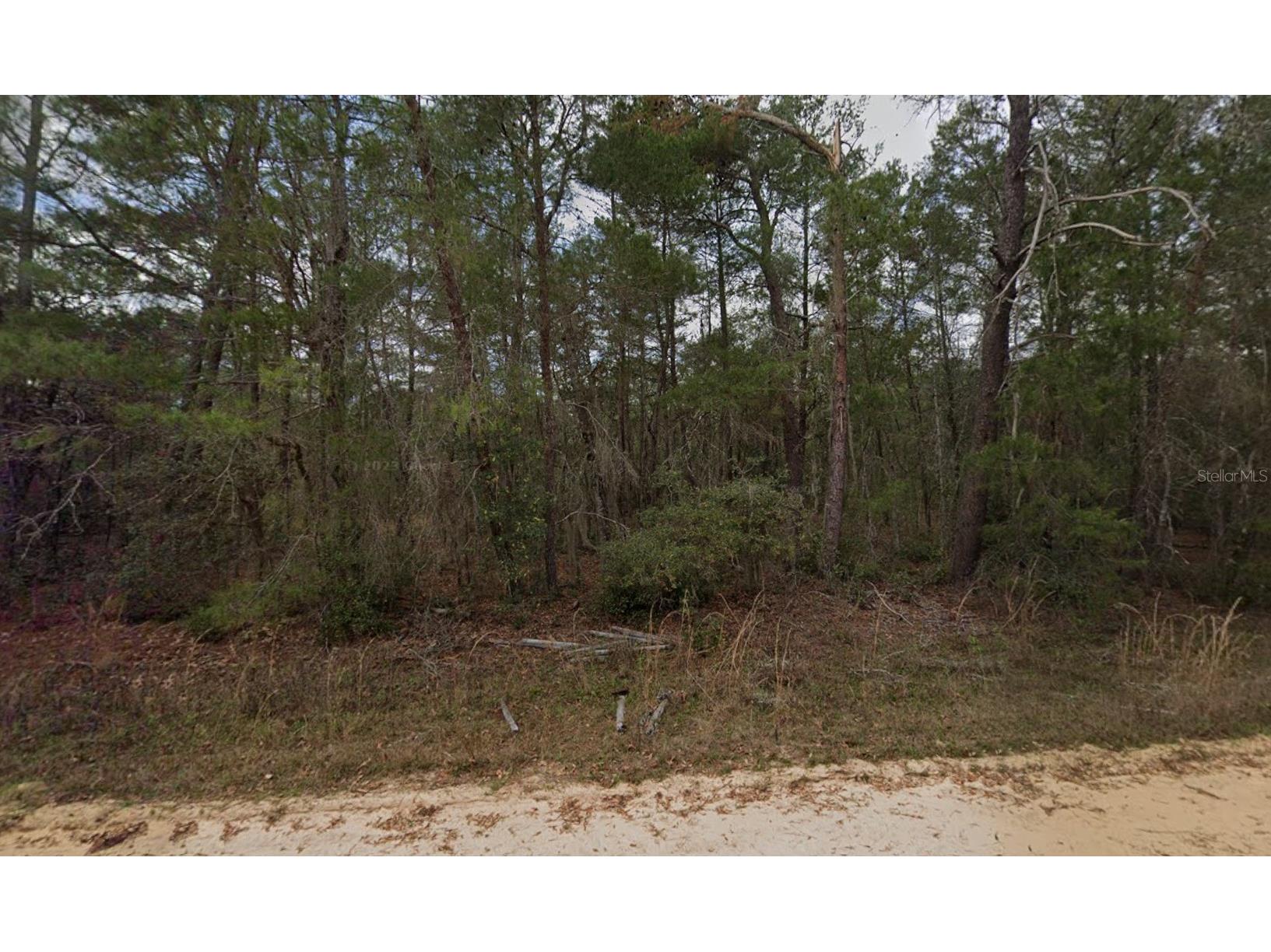 Neilson Ave Interlachen FL 32148 OM725900 image1