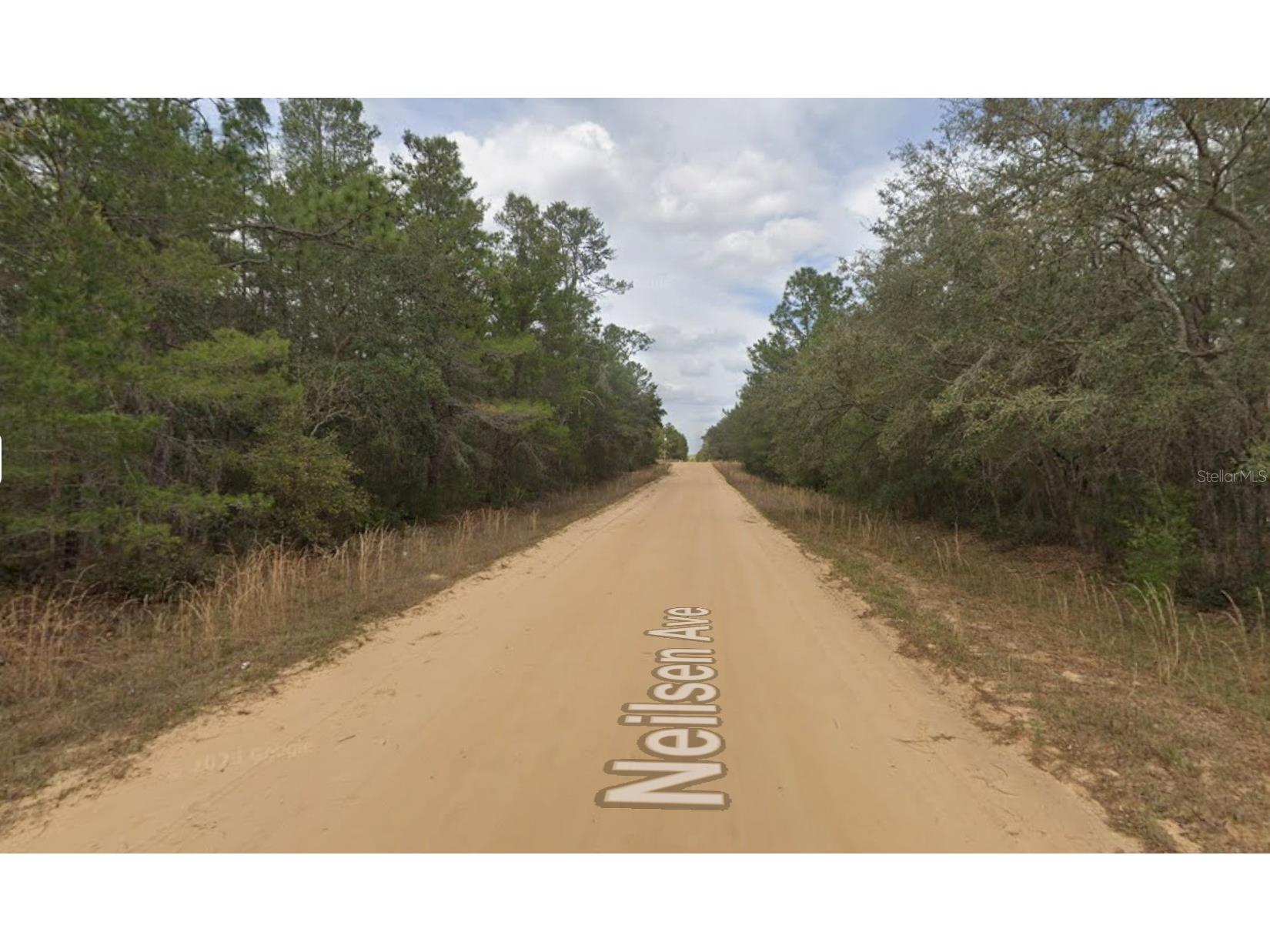 Neilson Ave Interlachen FL 32148 OM725900 image2