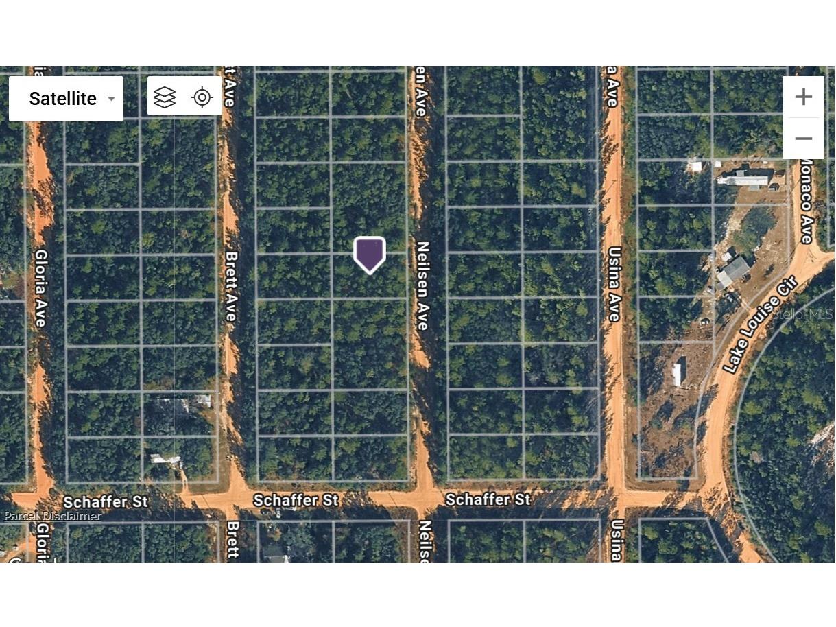 Neilson Ave Interlachen FL 32148 OM725900 image8