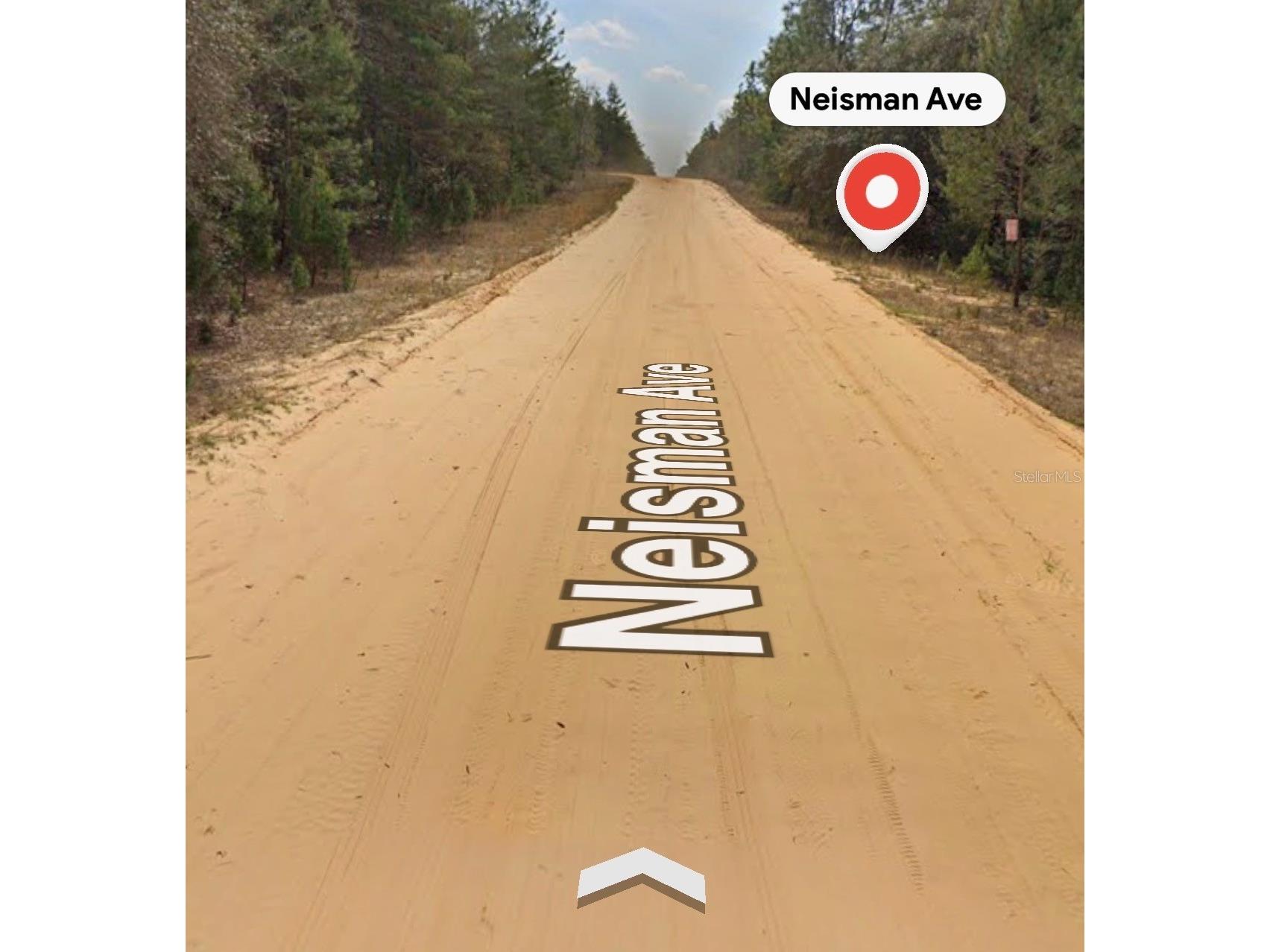 Neisman Interlachen FL 32148 A4694421 image2