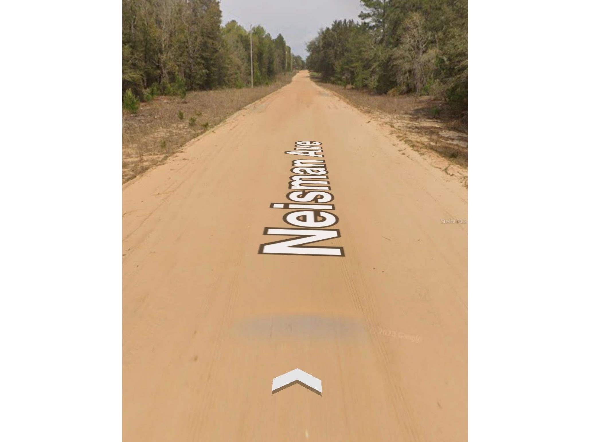 Neisman Interlachen FL 32148 A4694421 image3
