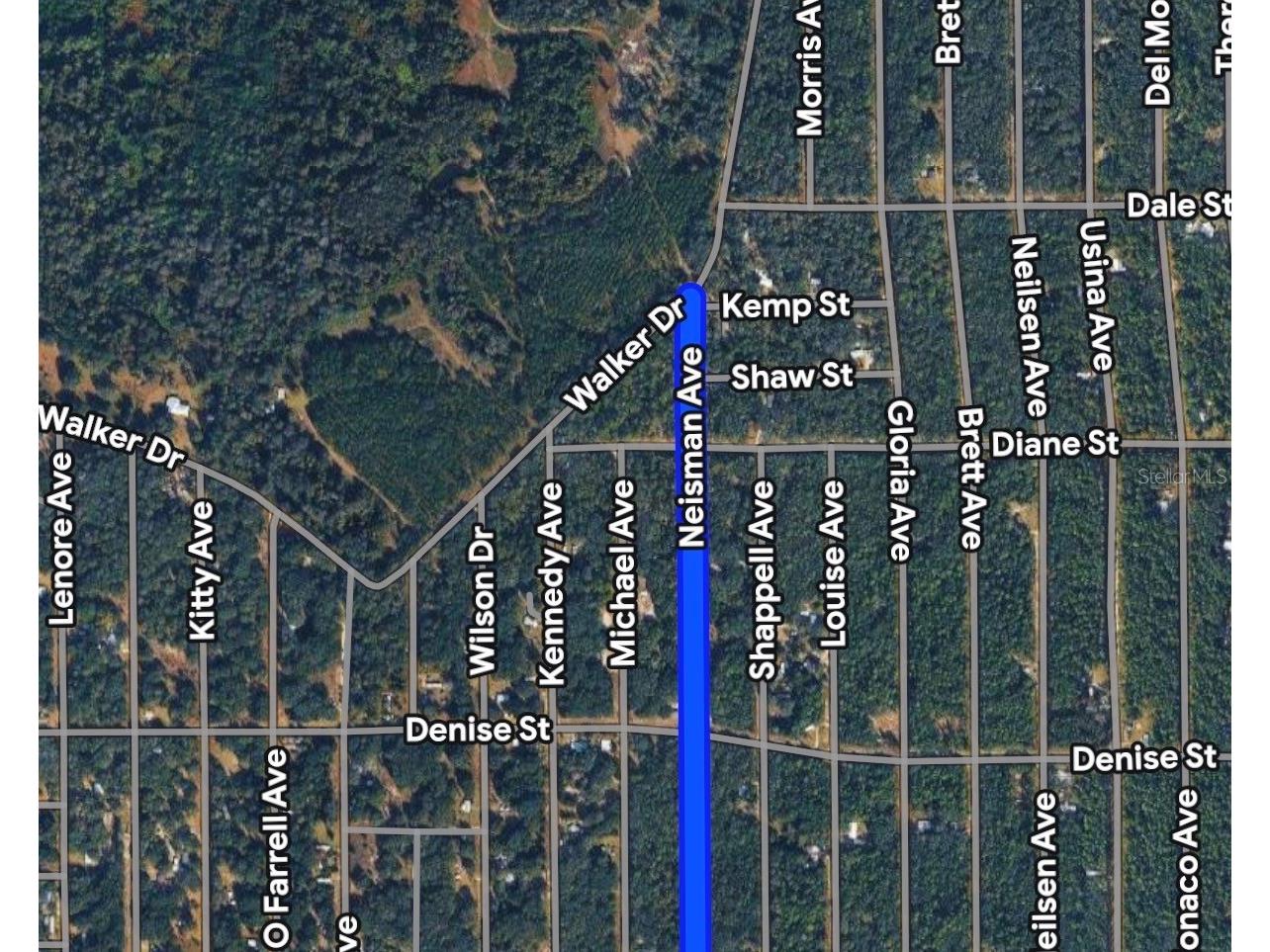 Neisman Interlachen FL 32148 A4694421 image6