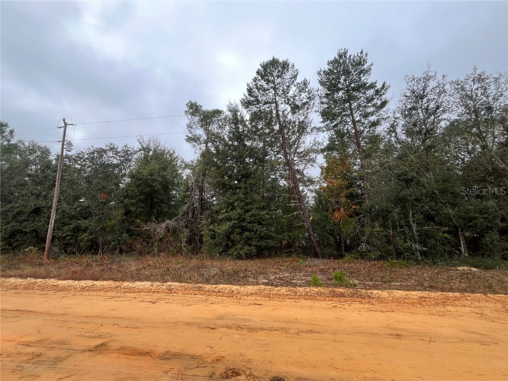 Neisman Interlachen FL 32148 OK224704 image1