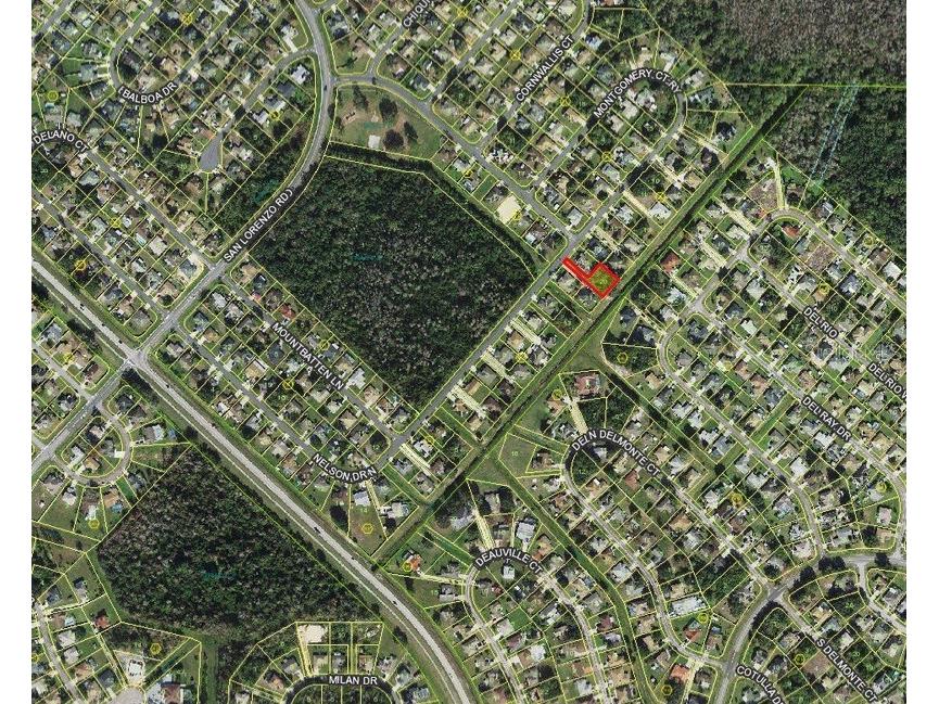 Nelson Drive Kissimmee FL 34758 O6087255 image1