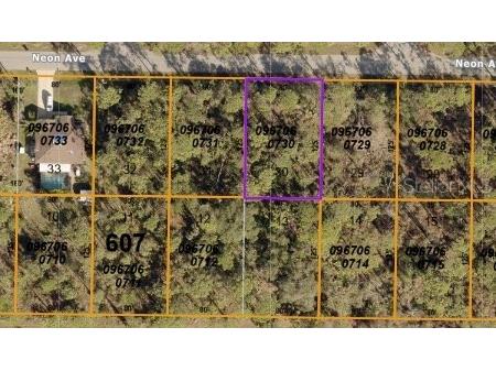 Neon Avenue North Port FL 34291 C7486143 image1