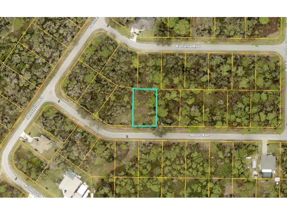 Neon Avenue North Port FL 34291 A4631715 image1