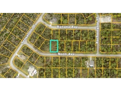 Neon Avenue North Port FL 34291 A4631715 image2