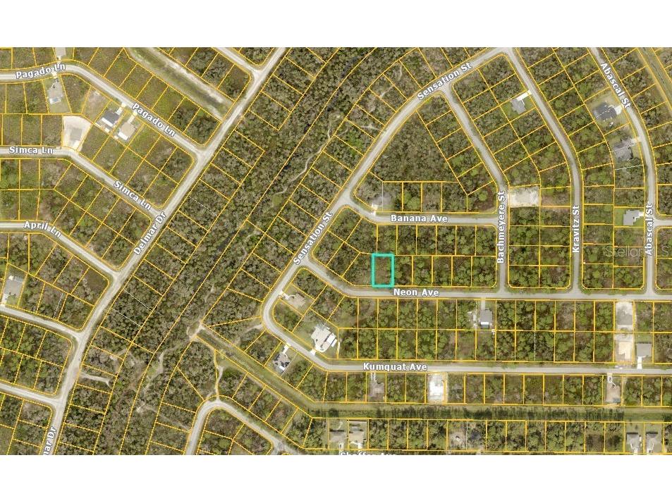 Neon Avenue North Port FL 34291 A4631715 image3