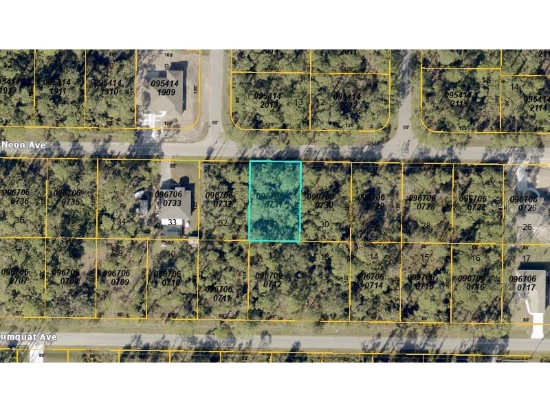 Neon Avenue North Port FL 34291 D6142695 image1