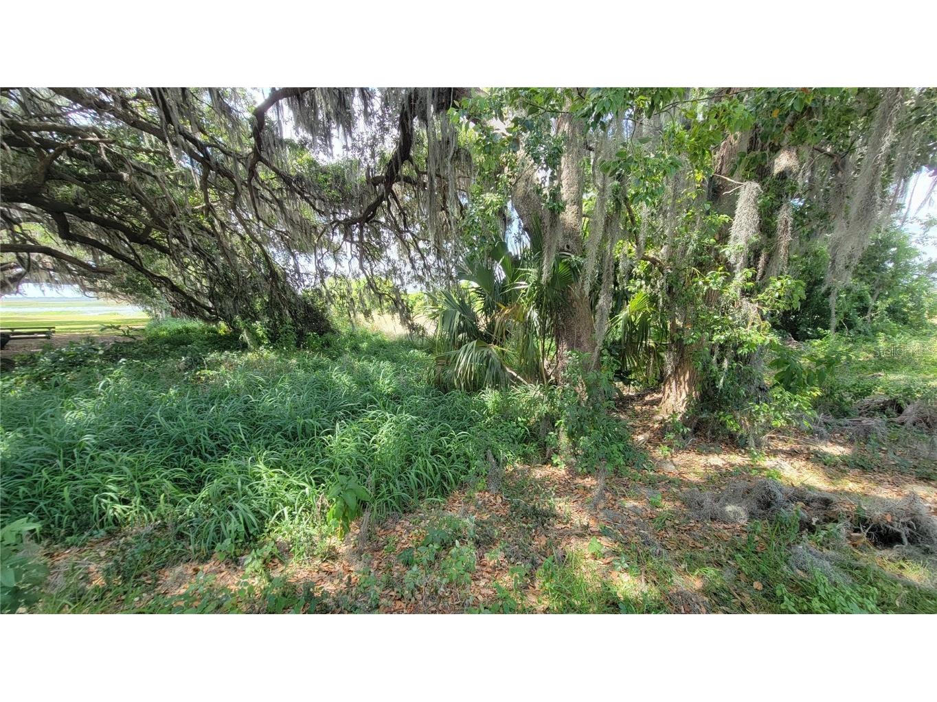 Neptune Road Kissimmee FL 34744 S5125867 image10