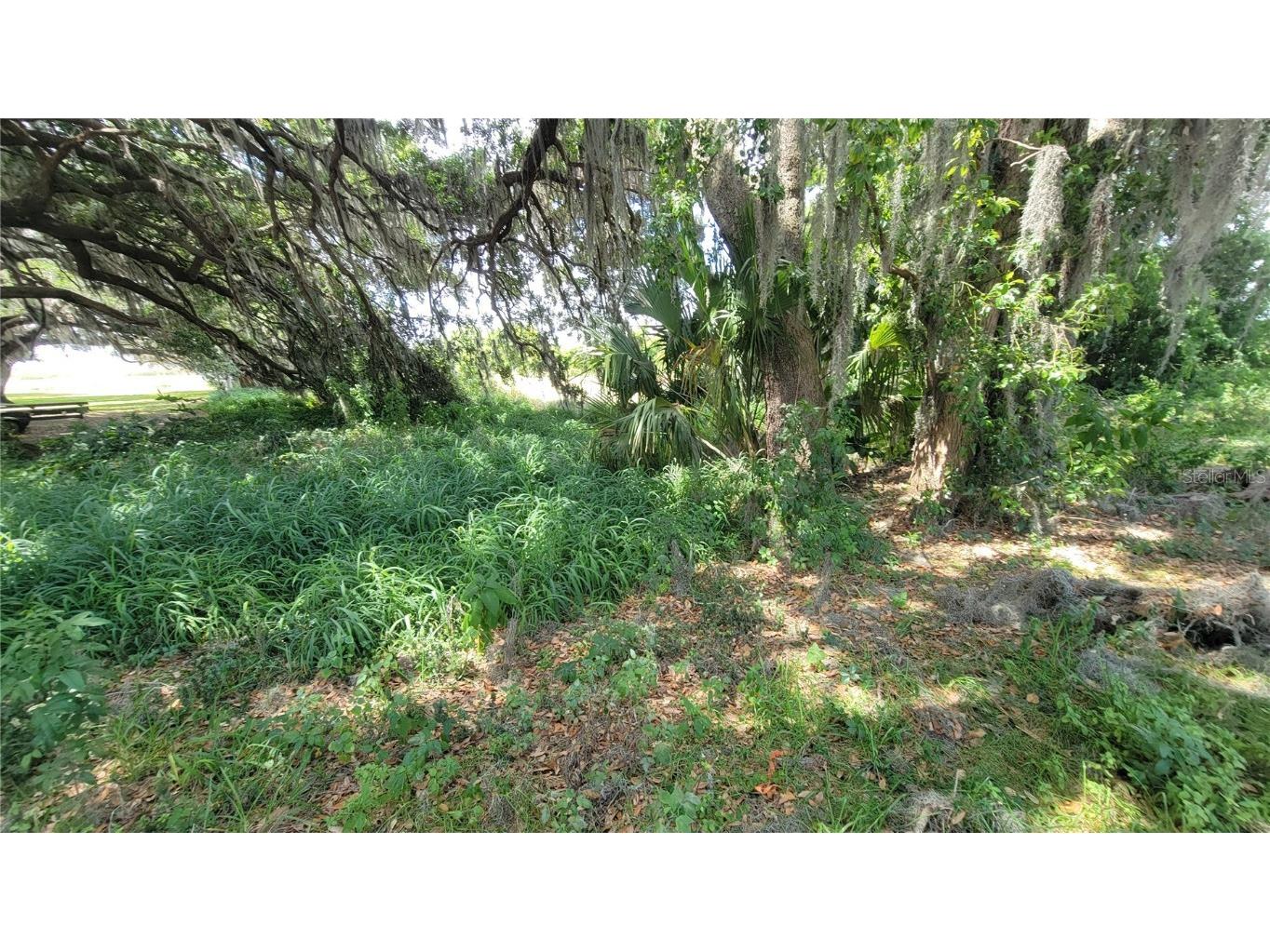 Neptune Road Kissimmee FL 34744 S5125867 image12