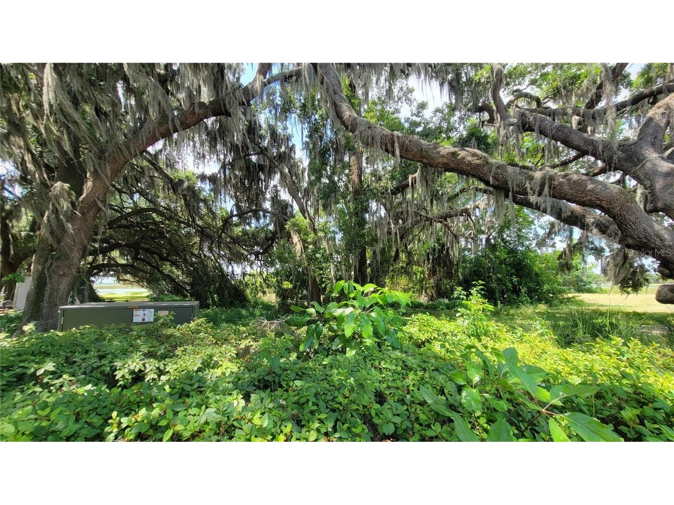 Neptune Road Kissimmee FL 34744 S5125867 image13