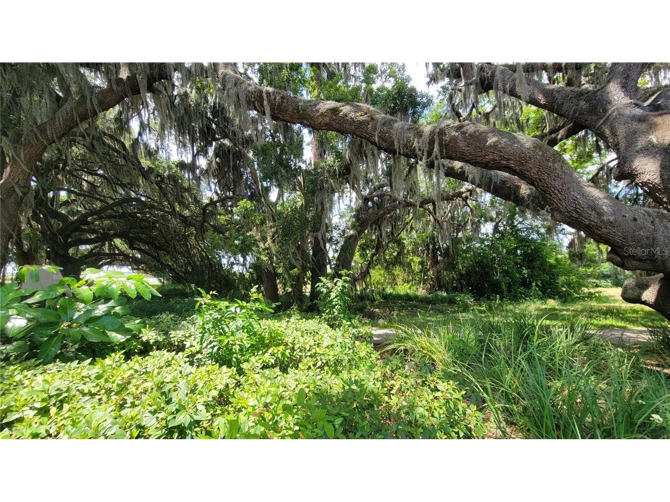 Neptune Road Kissimmee FL 34744 S5125867 image14