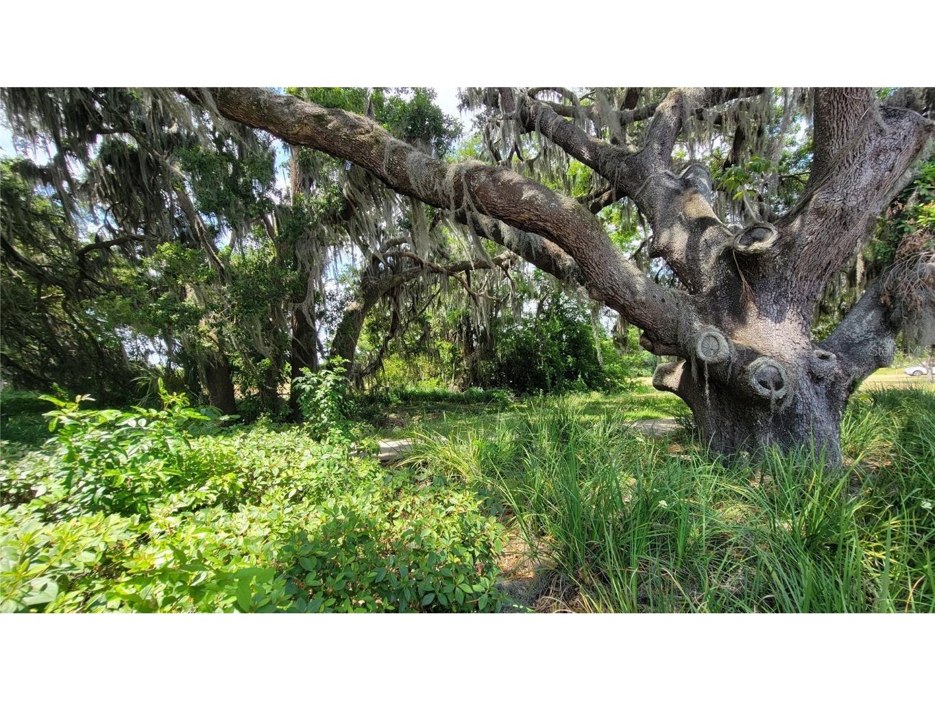 Neptune Road Kissimmee FL 34744 S5125867 image15