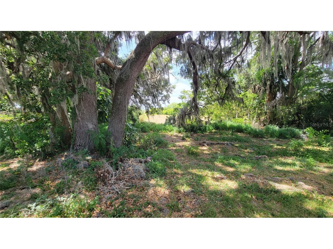 Neptune Road Kissimmee FL 34744 S5125867 image16