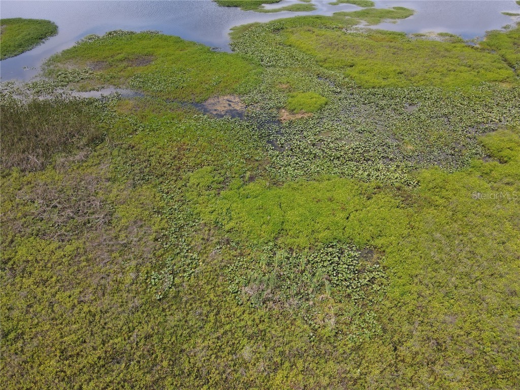 Neptune Road Kissimmee FL 34744 S5125867 image22