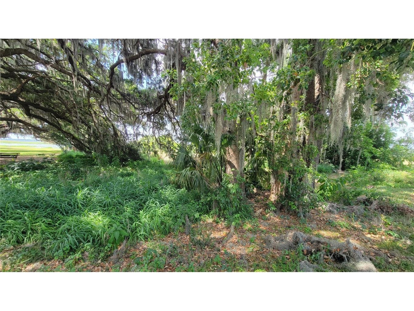 Neptune Road Kissimmee FL 34744 S5125867 image7