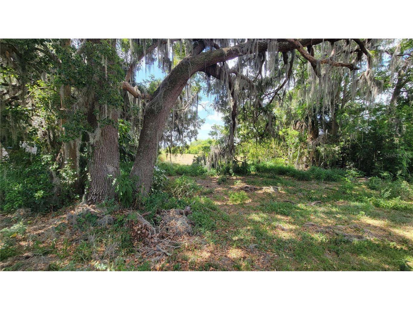 Neptune Road Kissimmee FL 34744 S5125867 image8