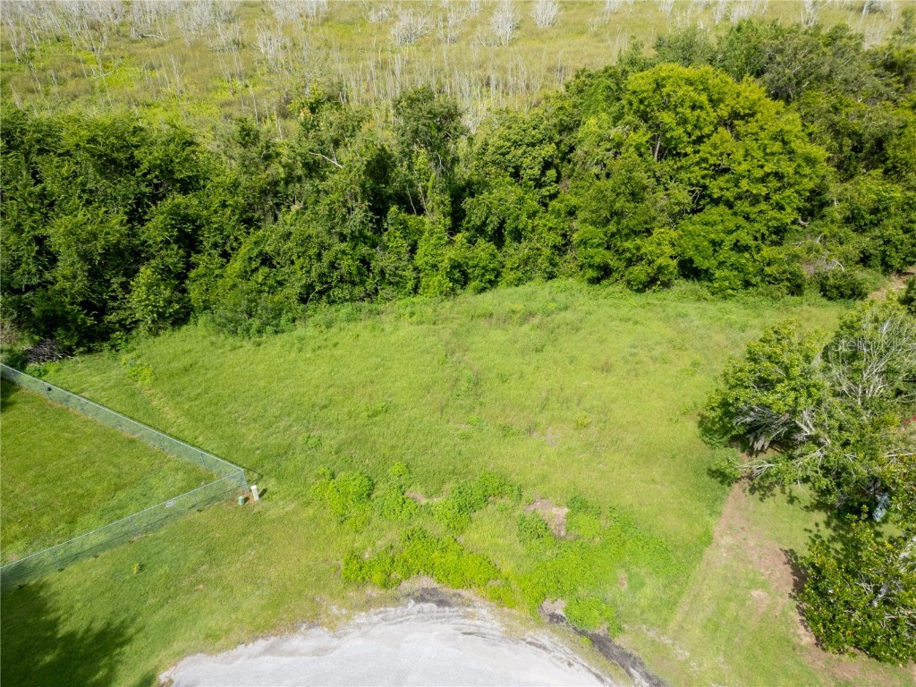 Nest Court Grand Island FL 32735 O6323164 image2