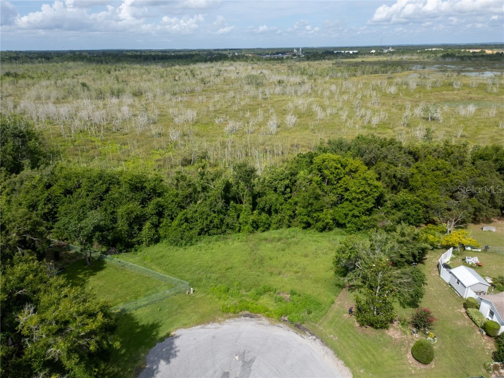 Nest Court Grand Island FL 32735 O6323164 image4