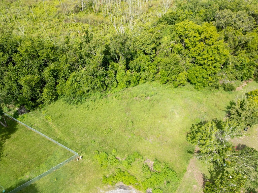 Nest Court Grand Island FL 32735 O6323164 image5