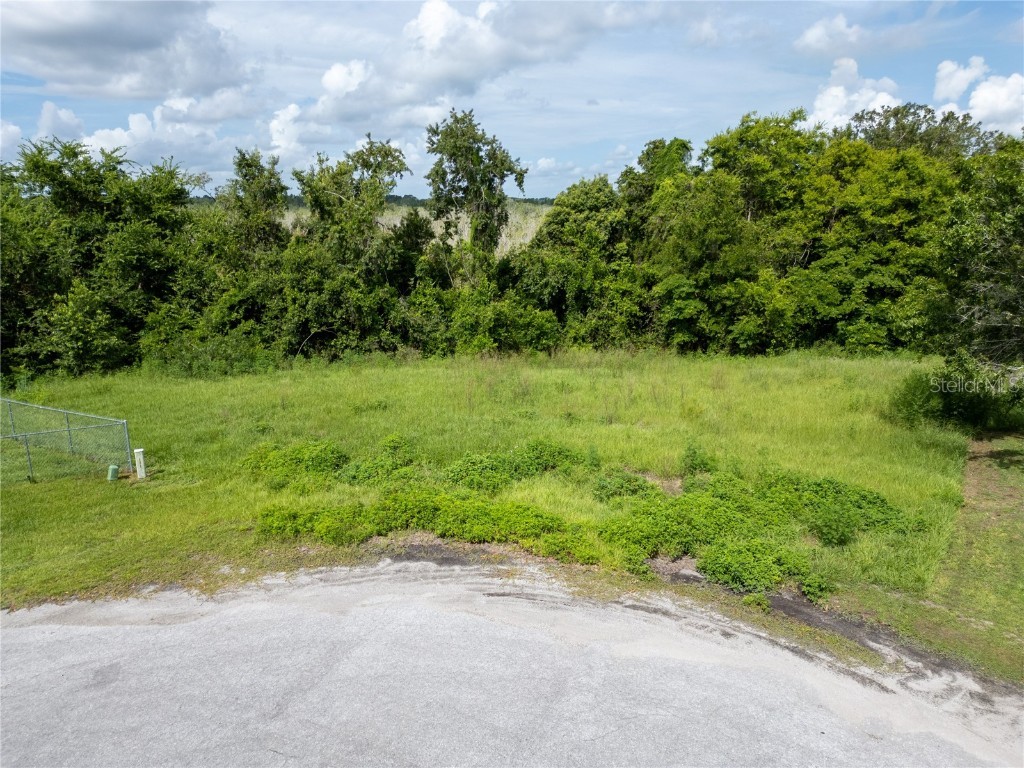 Nest Court Grand Island FL 32735 O6323164 image6