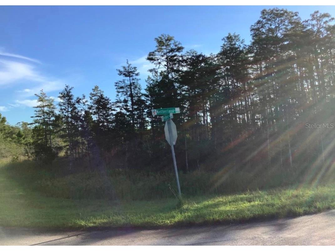 Netherland Street Orlando FL 32833 O6314289 image1