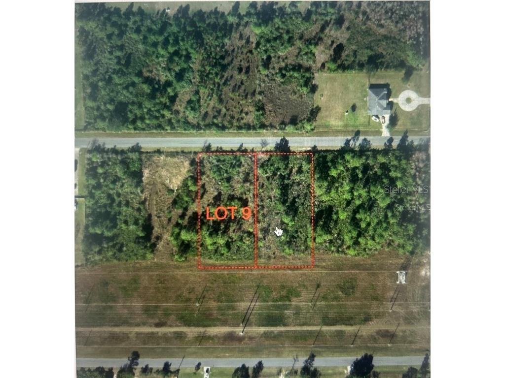 Nettleton Street Orlando FL 32833 O6367829 image1