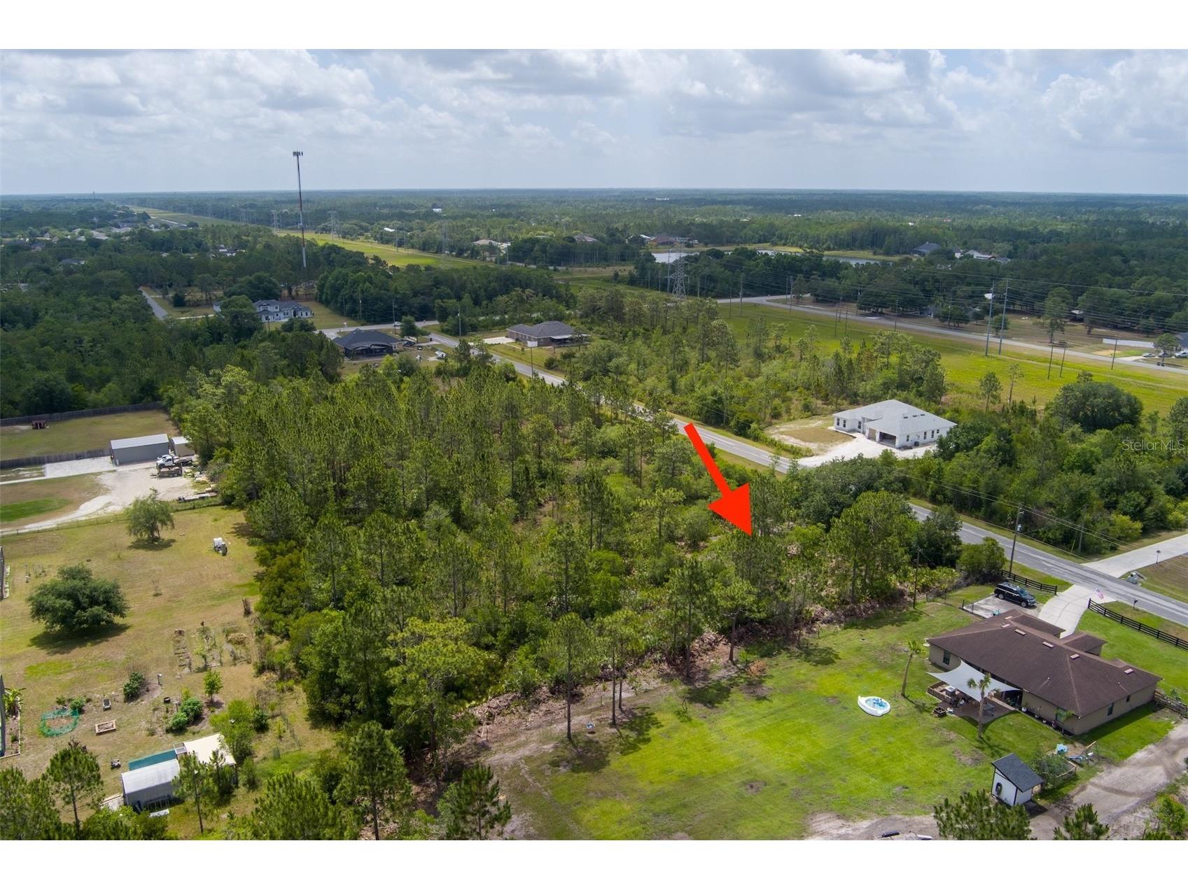 Nettleton Street Orlando FL 32833 O6411462 image17
