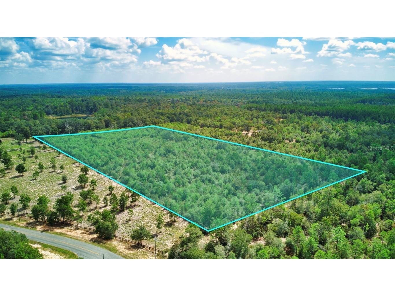 New Jerusalem Road Vernon FL 32462 T3481636 image1