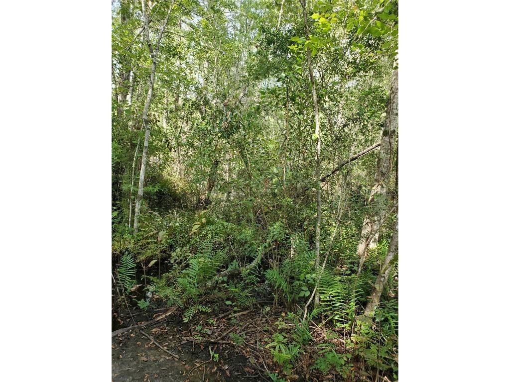  New Port Richey FL 34654 W7837332 image1