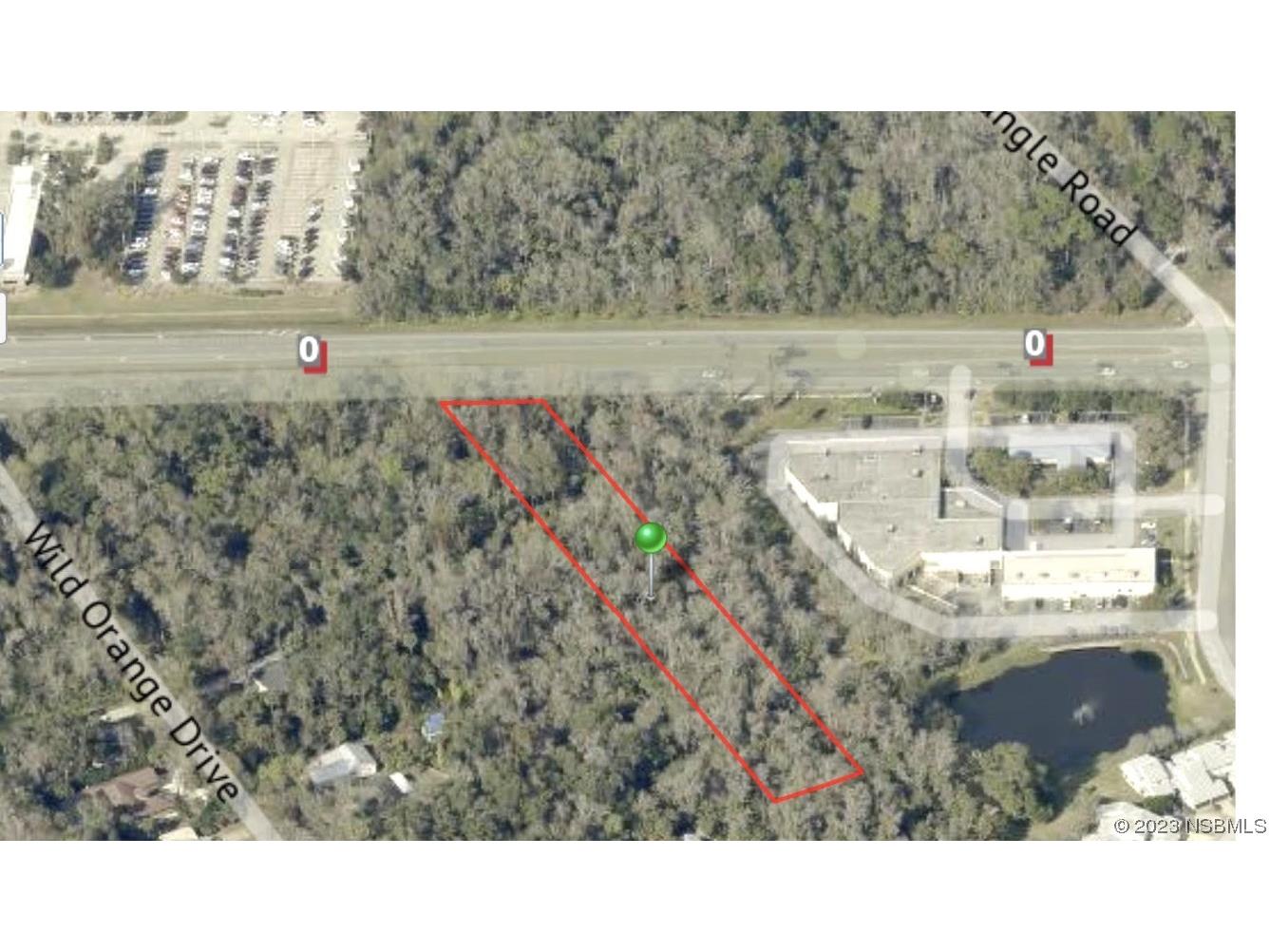  New Smyrna Beach FL 32168 NS1076593 image1