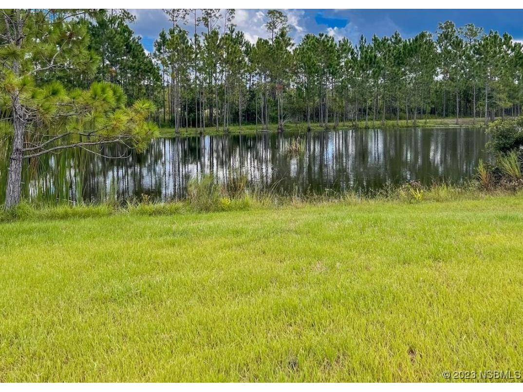  New Smyrna Beach FL 32168 NS1077895 image1