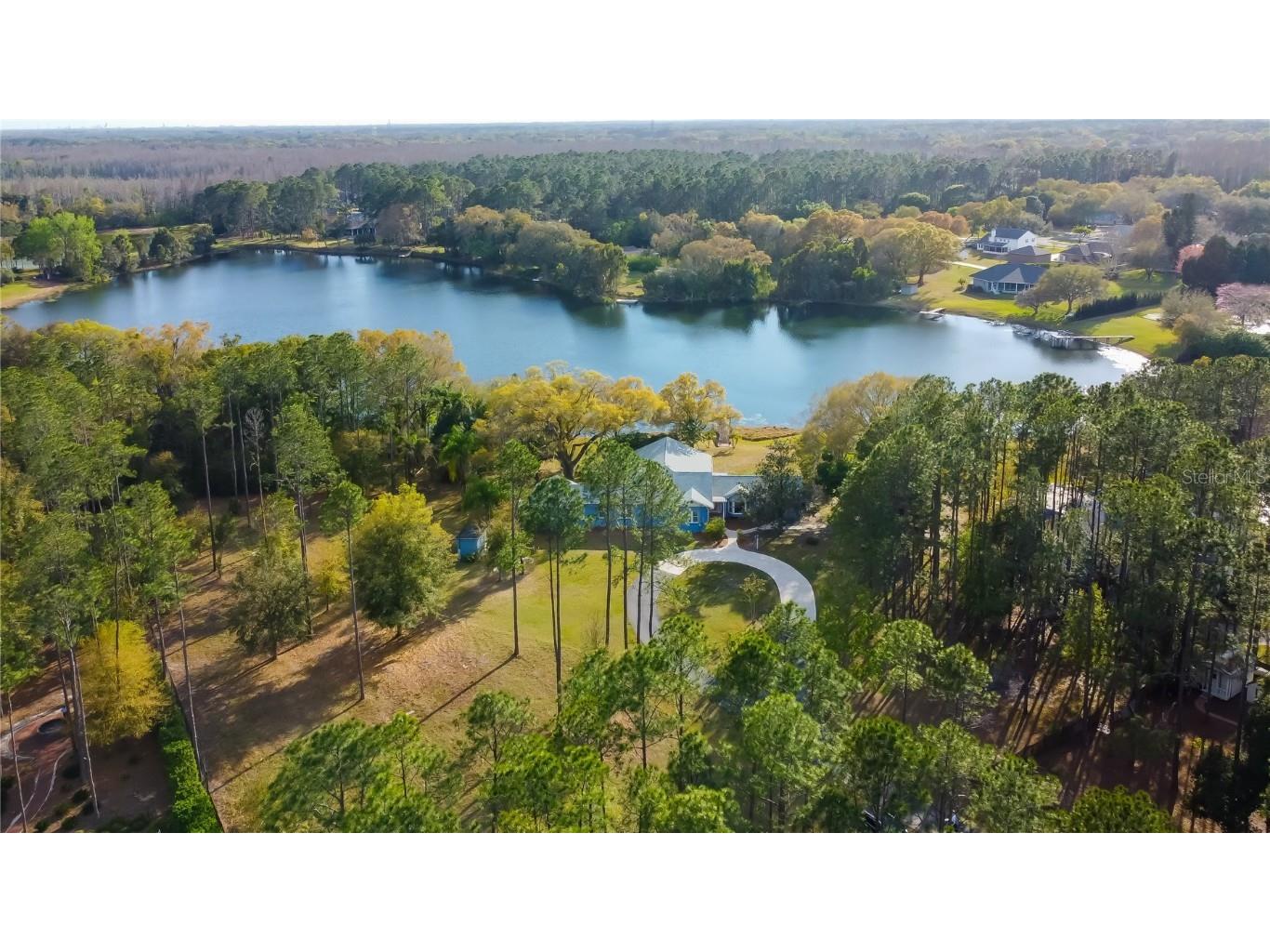 Newberger Lutz FL 33549 TB8388052 image1